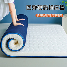 抗壓床墊可回彈不塌陷硬質棉軟墊家用榻榻米學生宿舍租房專用墊子