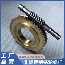 工廠加工蝸輪蝸桿直流減速電機配件大傳動比斜齒黃銅渦輪配套蝸桿