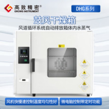 DHG系列鼓風干燥箱 烘箱 電熱恆溫干燥箱烘箱恆溫烤箱DHG-9030A