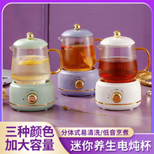 網紅迷你養生電燉杯家用大容量多功能養生壺辦公室桌面分體花茶壺