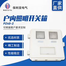 廠家推薦 PZ40-2戶電力電表箱 照明箱 家用戶內照明開關箱