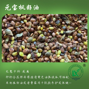 Ԫ Maple seed oil 2.5%-5% ֲA