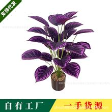 跨境仿真綠植造景裝飾紫羅蘭仿真花藝擺件綠植裝飾高級感仿真花