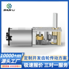 廠家直銷N20微型渦輪蝸桿自鎖減速電機6v 12v電子鎖智能鎖減速馬