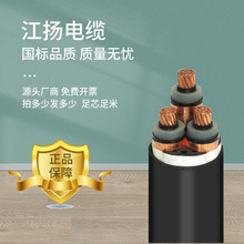 鎧裝電纜國標阻燃C級0.6/1KV電力電纜三相四線單芯線10/16平YJV22