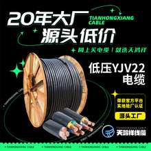 工廠設備銅芯電纜線 紫銅線電力工程 低壓橡皮套管電纜YJV22 3*10