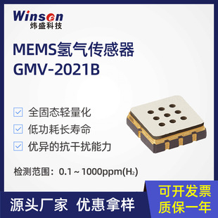 ʢMEMSGMV-2021Bĵ͚̽^й¶zy