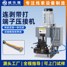 全自動連剝帶打端子機多功能壓接多芯線剝皮打端機端子壓着機