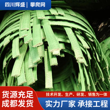 邊坡植物攀爬爬藤網鋼塑土工格柵護坡戶外多功能