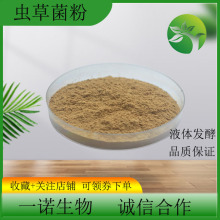 發酵蟲草菌粉 蟲草菌粉CS-4 現貨直銷蝙蝠蛾擬青霉菌粉1kg/袋包郵