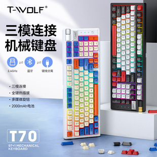 T-WOLFT70oCеIP{ģRGBΑƻIP羳