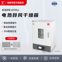 天津泰斯特鼓風干燥箱實驗室恆溫箱烘箱電熱恆溫含稅含運WGL-230D