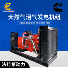天燃氣發電機組康明斯 60 120 180kw垃圾廠廢棄站 燃氣發電機設備