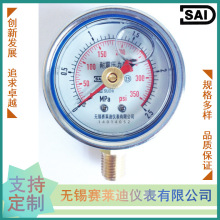 無錫賽萊迪 耐震記憶壓力表 留針表YN-60-J
