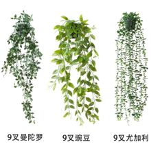 亞馬遜懸掛盆栽組合 仿真盆栽垂條盆景 室內裝飾家居壁掛裝飾植物