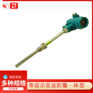 防爆熱電阻PT100鉑熱電阻WRNK2460溫度傳感器防腐燒結四氟帶變送