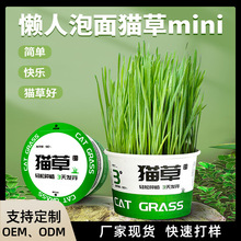 新款貓咪水培貓草助貓排毛球懶人貓草盒子助消化貓零食廠家批發