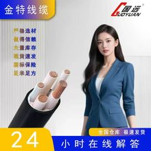 電線電纜純銅ZR-YJV2芯10～300平無氧銅架空電力電纜線防火阻燃