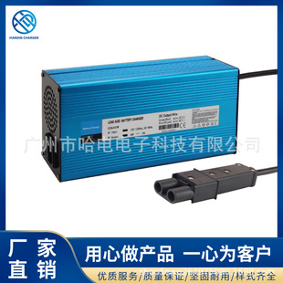 48V10A雅馬哈(YMH)帶LED電壓電流雙顯示雙指示燈高爾夫球車充電器