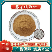 藤茶提取物10:1 水溶 植物原料 藤茶萃取物 噴霧干燥 廠家1KG起批