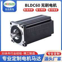 廠家供應攪拌機 60無刷電機24-310VDC 商用家用攪拌機電機 離心機