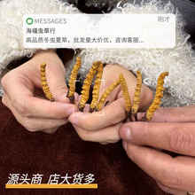 西藏拉薩老店直銷源頭蟲草鮮貨干貨現貨量大順豐包郵冬蟲夏草精品