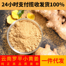 一件代發雲南小黃姜粉純食用沖飲超細干姜粉細膩泡水黃姜粉200g罐