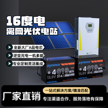 家用16度電離網儲能系統110V220V光伏發電儲能太陽能供電系統