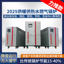 全預混高效冷凝鍋爐 工業熱水燃氣鍋爐 集中供暖設備 凱能科技