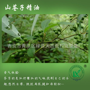 ɽnӾLitsea cubeba extraction oil޹ùowľ