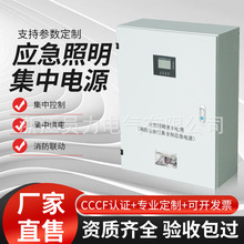 智能疏散系統應急照明集中電源集中控制燈具分配電源應急電源