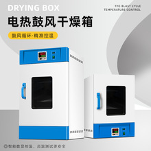電熱恆溫鼓風干燥箱烘箱工業大燈烤箱五谷烘干箱實驗室老化箱QS