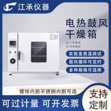 電熱恆溫鼓風干燥箱 300度烘箱實驗室測試烤箱鼓風干燥箱高溫烤箱