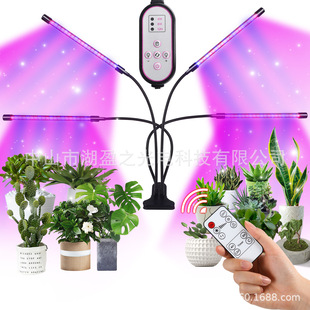 ҃led5vAӟt{ȫV{ⶨr_PֲLa12v