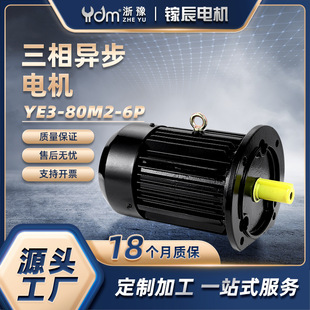 YE3-80M2-6Pஐ늙C0.55KW~380VR_ɫ