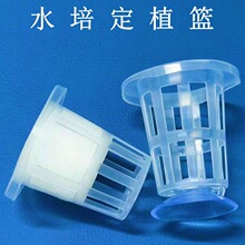 無土栽培水培定植籃魚缸花盆固定籃陽台蔬菜定植杯定植綿種植塑料