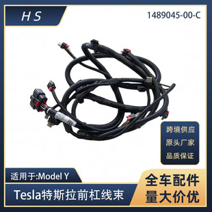 mTesla˹MODELYǰUܾٵ܇_1489045-00-C