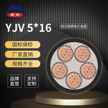 天環電纜 ZC-YJV5*16 低壓電力電纜 國標銅芯阻燃5芯電纜