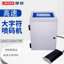 全自動大字符噴碼機在線噴印包裝袋生產日期打標機二維碼打碼機