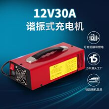 搬運車清潔車鋰電池智能充電器 堆高車叉車鉛酸電池12V30A充電機