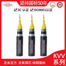 廠家供應 屏蔽鎧裝控制電纜 KVVP 24*2.5 多種規格可選