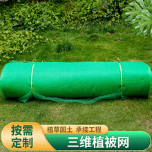 常年邊坡綠化防護三維網三維植被網EM1/EM2/EM3/EM4/EM5 種草廠家
