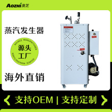 工業型家用蒸氣機熱水鍋爐全自動電加熱鍋爐干洗店熨燙蒸汽發生器