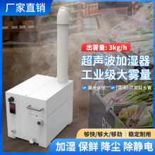 超聲波3kg/h加濕器車間降塵噴霧增濕器適用蔬菜保鮮大霧量加濕器