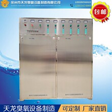大型臭氧發生器內置制氧機水泵WS200g臭氧水消毒機高濃度臭氧設備