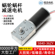 5840-36ZY渦輪蝸桿微型直流減速電機立式調速小型馬達12V24電動機