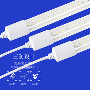 ˮ ledܷˮ t8ˮ1.2ȫչ