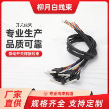 微動開關焊接線束伺服電機線編碼器大小功率動力電源線ASD-B2EN-C