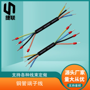E1008管型端子線 電動車電機線E1012機箱內部連接線 4G橡膠護套線