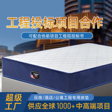 招投標工程用加密整網彈簧床墊 環保親膚面料護脊席夢思酒店床墊